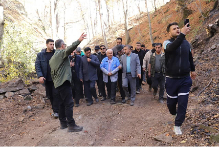 یونسی: جنگل;ها شناسنامه استان اند/ از دل خطر تا امید سبز؛ آتش سوزی جنگل های سوادکوه و گلوگاه مهار شد