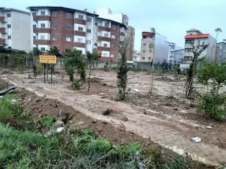 شهرداری بابل مصمم در سبزتر نمودن محیط شهری